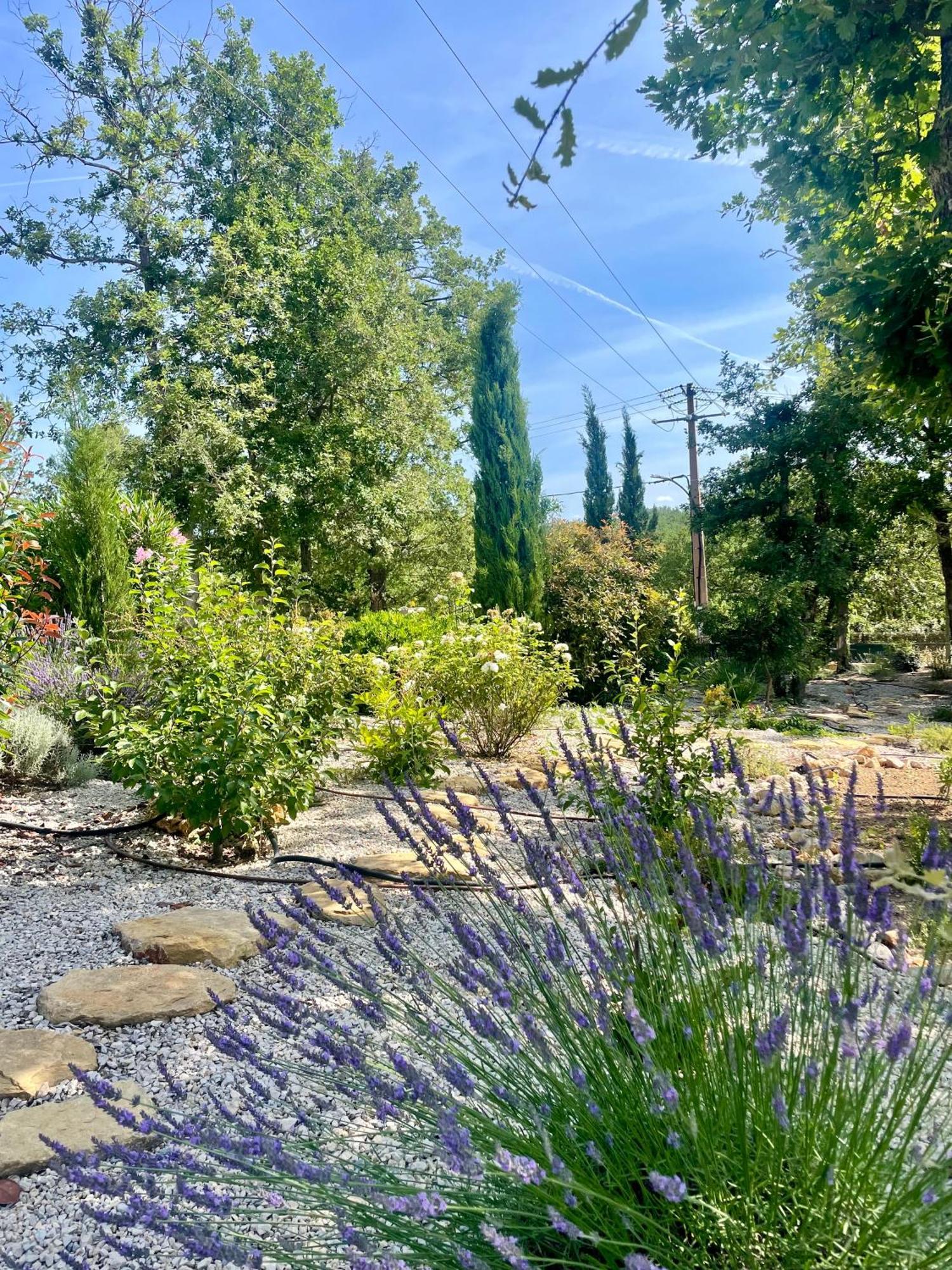Superbe Villa Seillans La Grande Bastide Avec Piscine, Jardin, Climatisation Et Salle De Sport Bagian luar foto