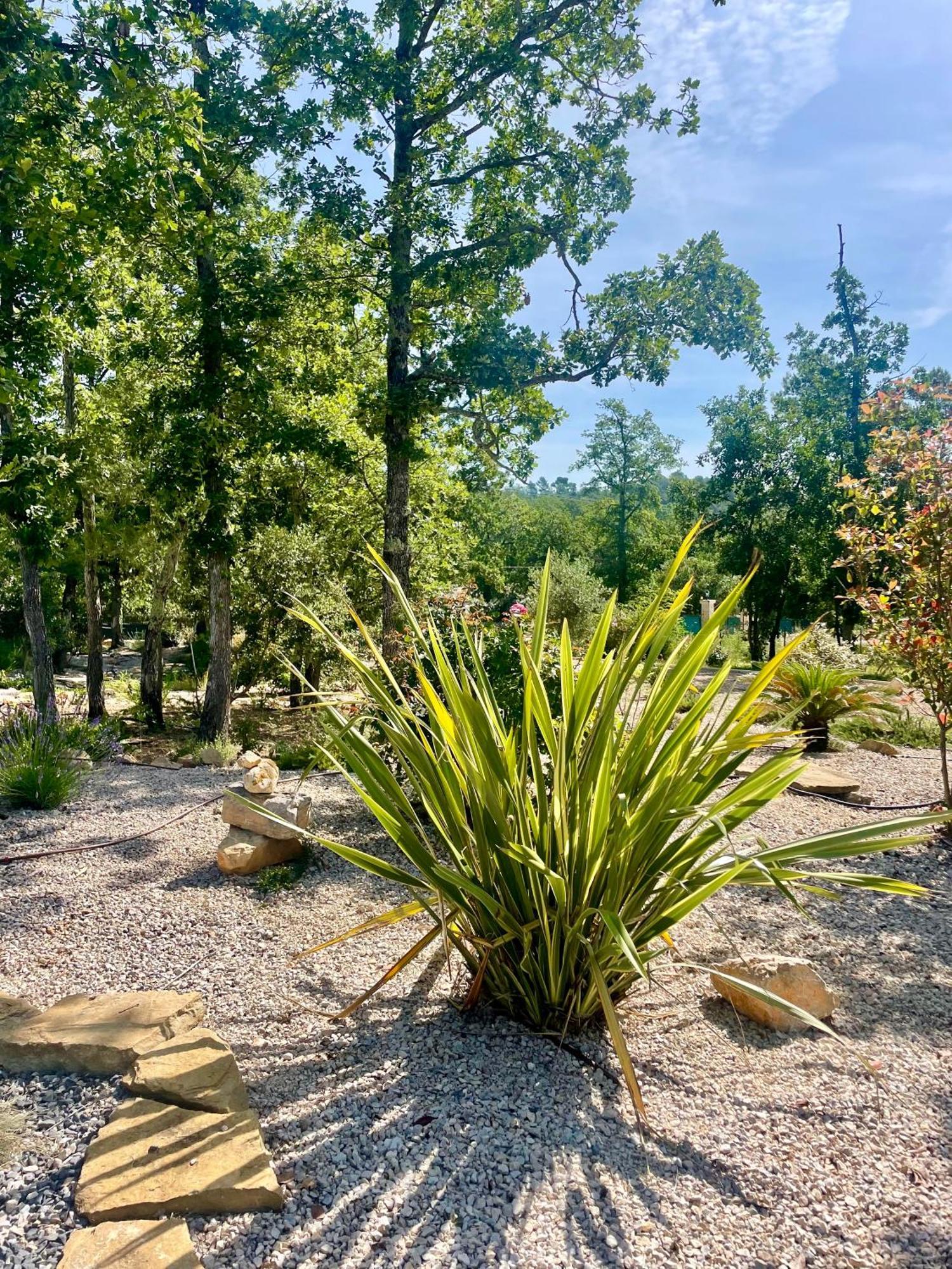 Superbe Villa Seillans La Grande Bastide Avec Piscine, Jardin, Climatisation Et Salle De Sport Bagian luar foto