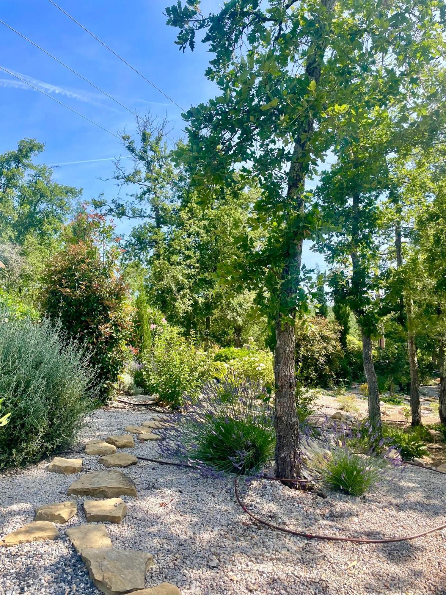 Superbe Villa Seillans La Grande Bastide Avec Piscine, Jardin, Climatisation Et Salle De Sport Bagian luar foto